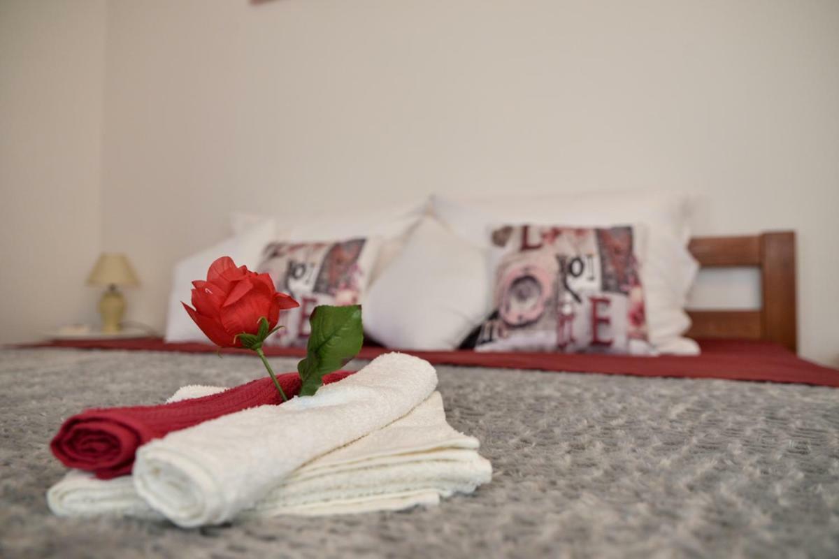 Apartment Antonio Zadar
